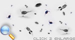 Mironekuton - Microorganism